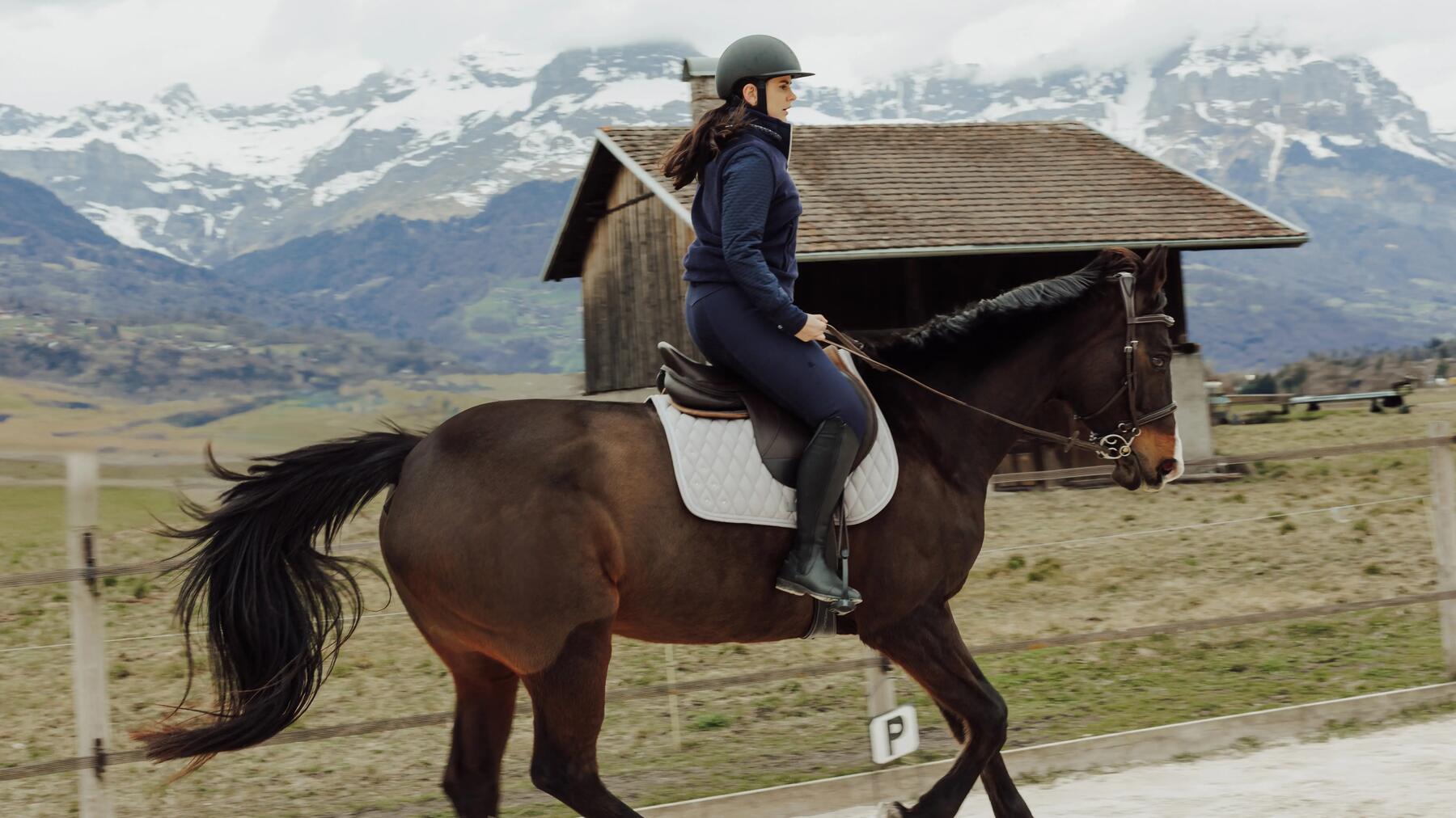 Anleitung zum Galoppwechsel lernen – Pferd im kontrollierten Galopp!