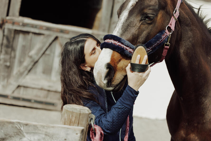CUM SĂ ALEGI HRANA PENTRU CAL