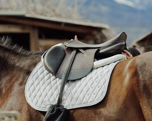 Alt/comment-choisir-sa-selle-d-equitation