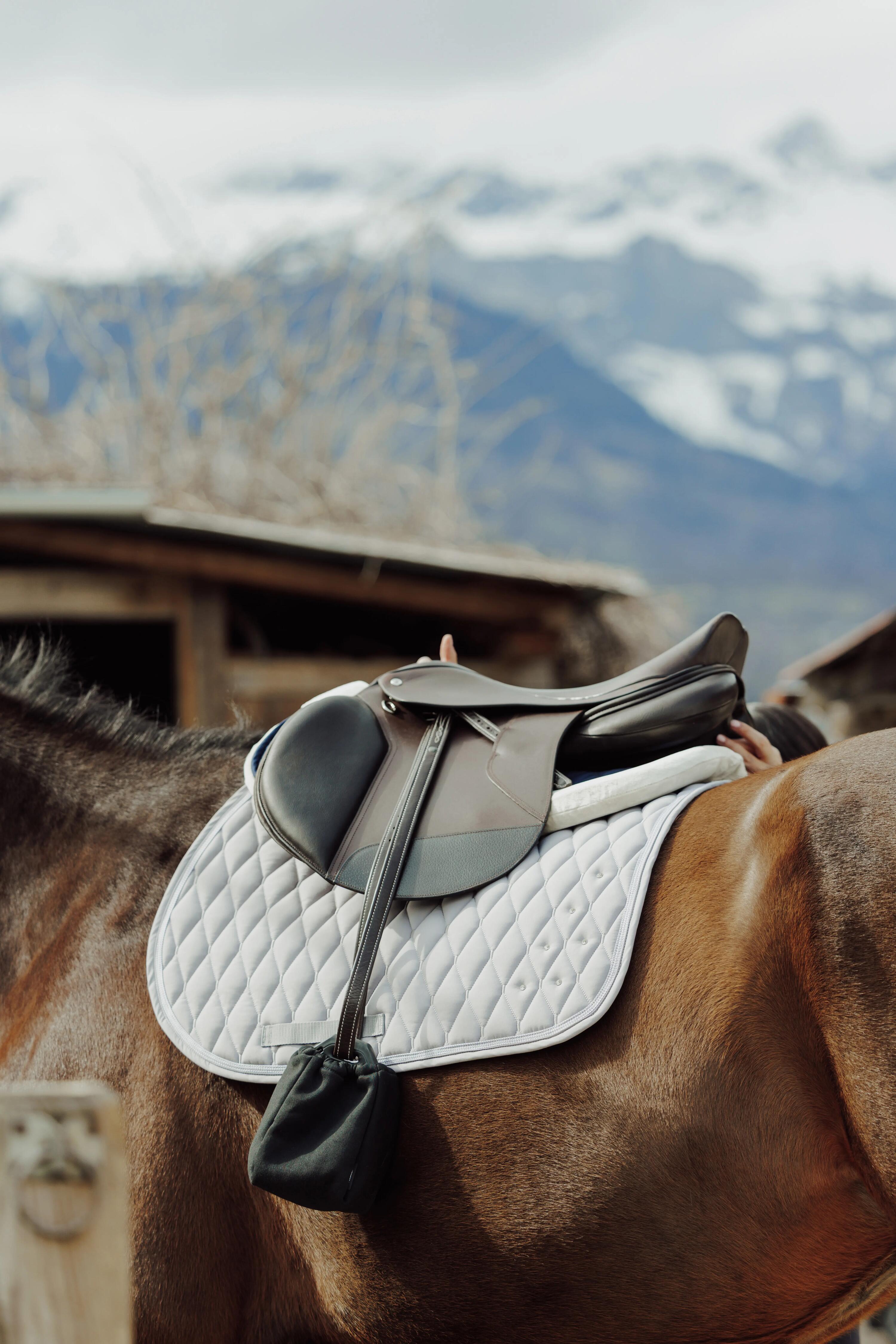 Comment choisir une selle d'équitation ?