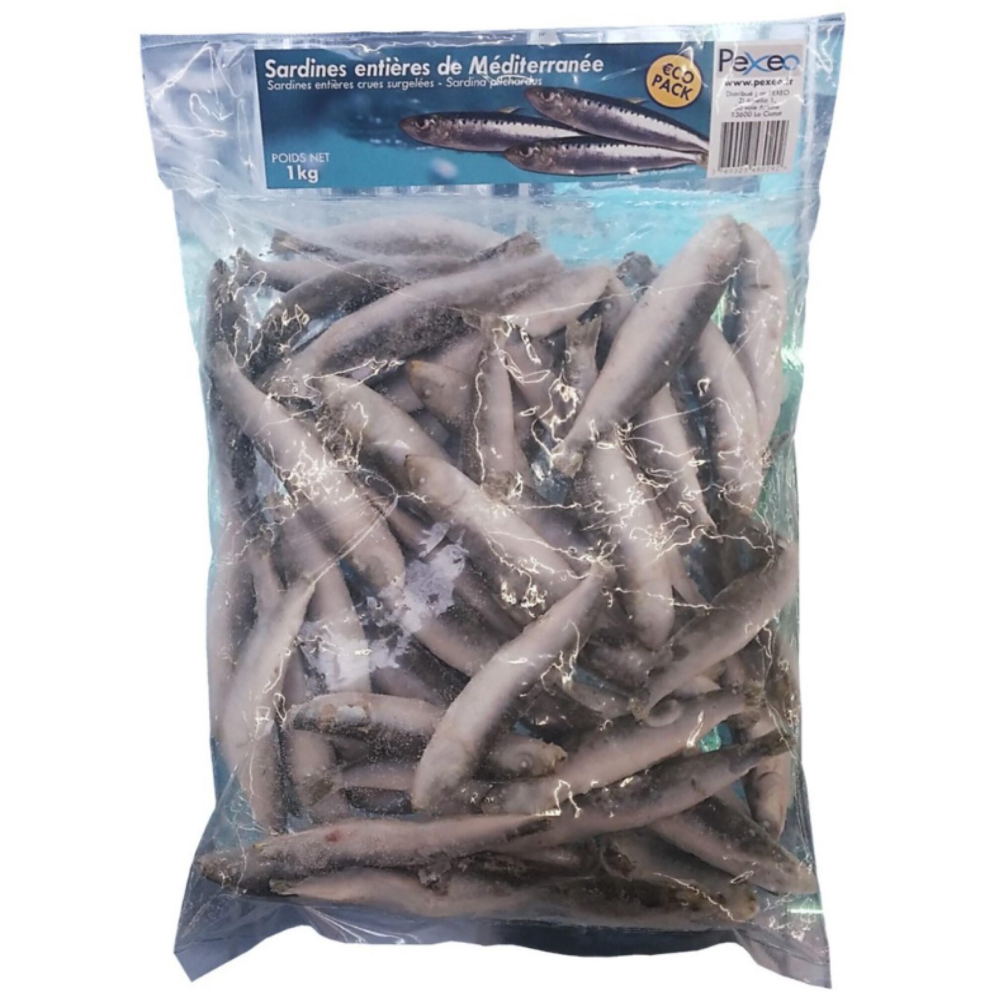 Sardine Entière 1kg 1/1
