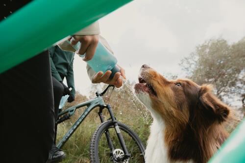 voeding voor een triatlon