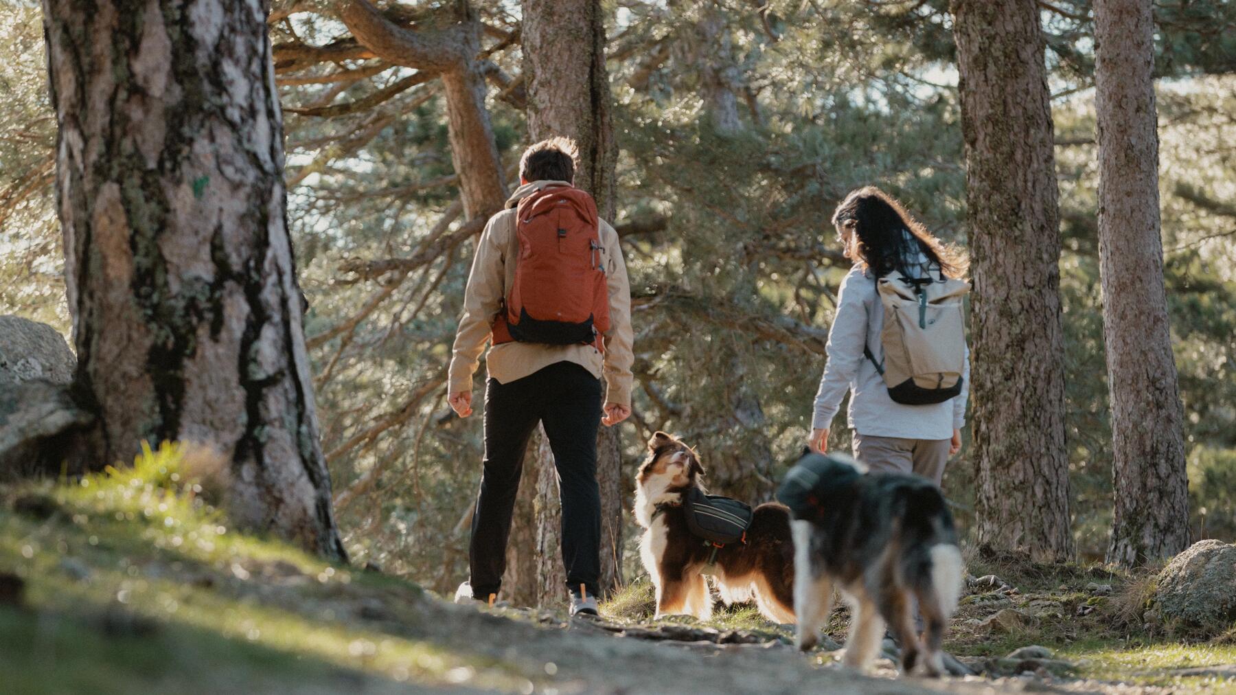 Trasee montane de o zi, pentru începători: 10 idei pentru drumeții