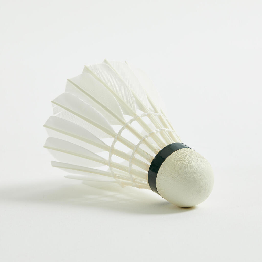 Loptice za badminton s perima AS 20 SPEED 77 (12 komada)