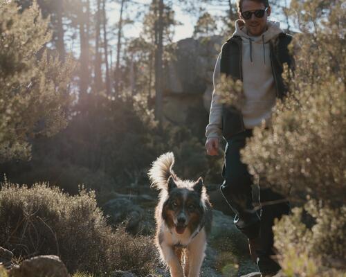 Man lekker aan het wandelen met zijn hond in de natuur
