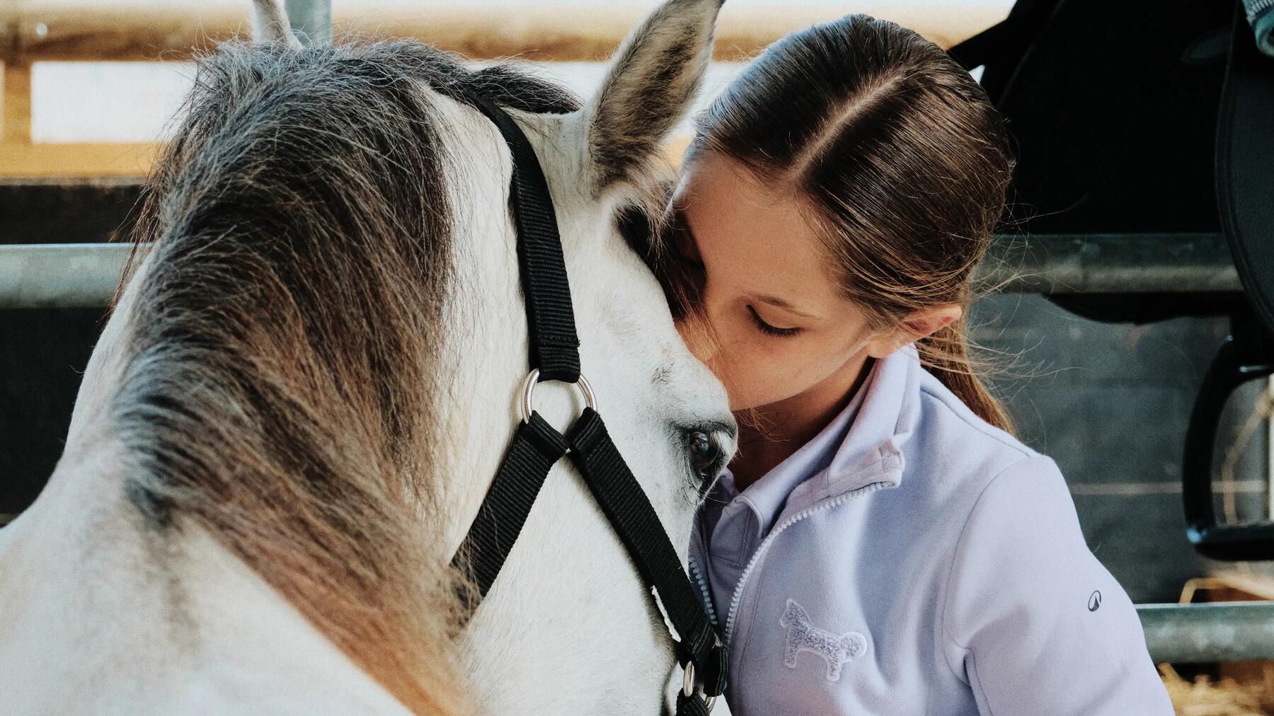Mit unserer Hilfe alles Wissenswerte über das Reiten erfahren!