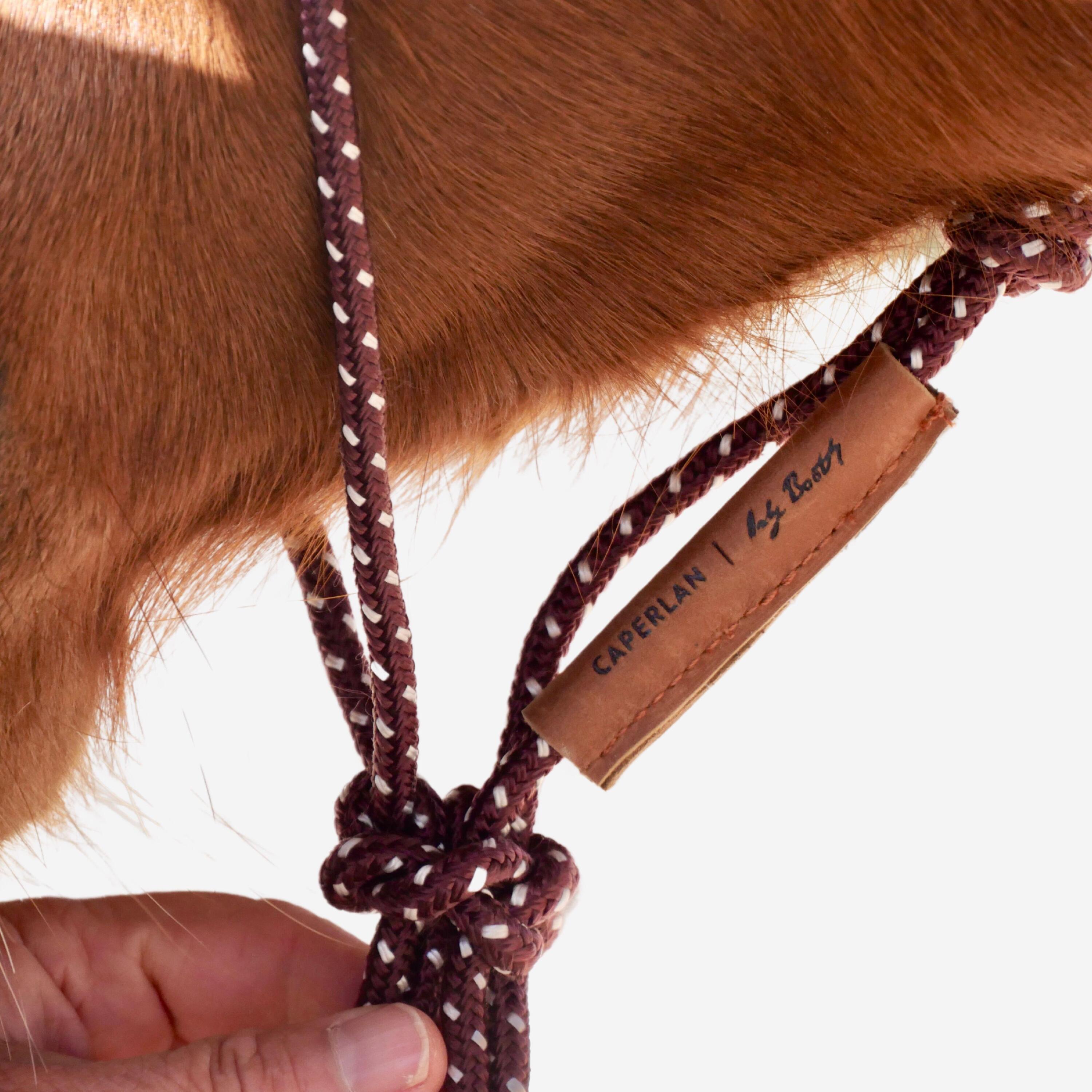 Ethological Horse Riding Halter for Horse - Burgundy 3/5