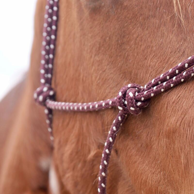 Licol équitation éthologique  cheval - bordeaux