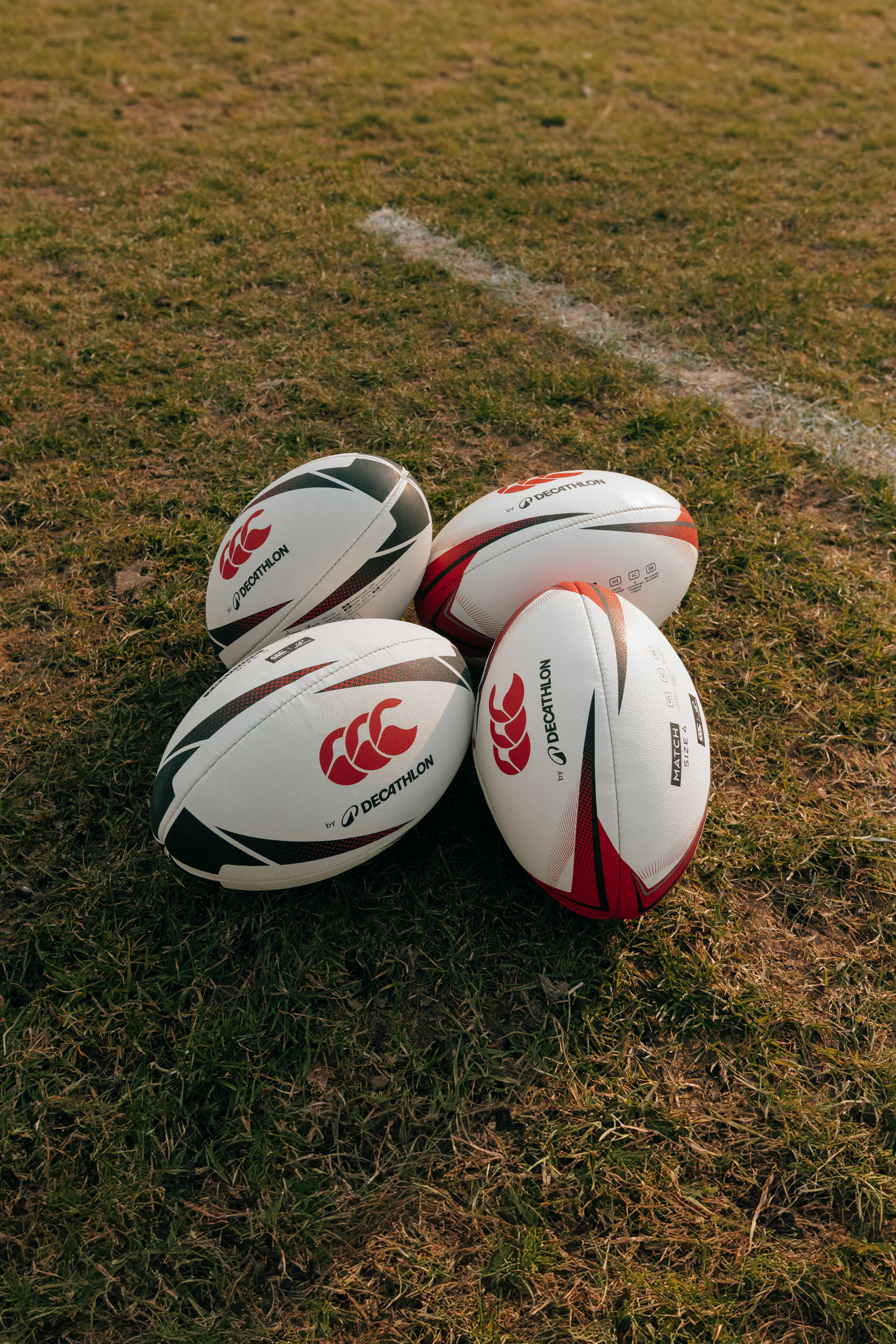 Palloni rugby