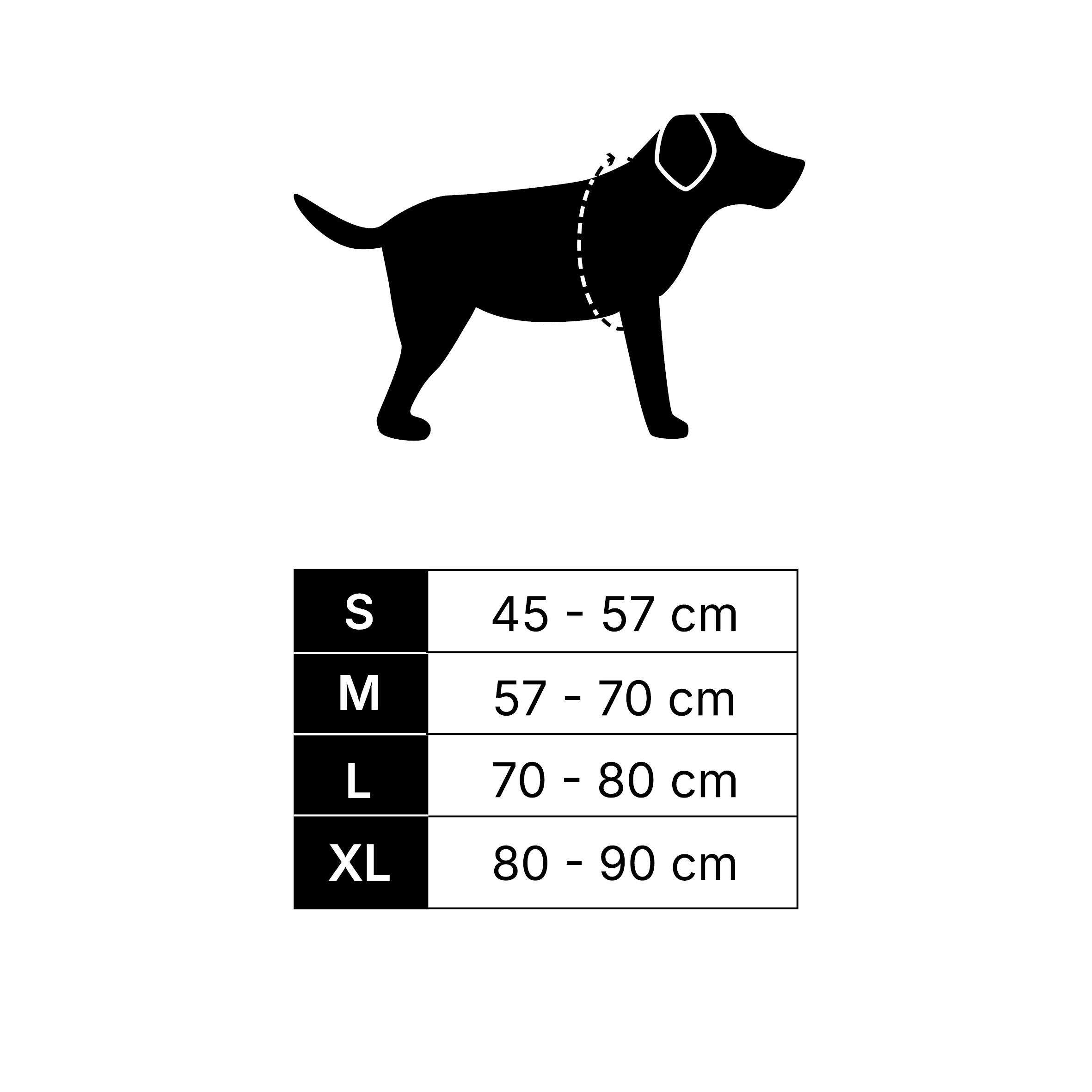 Harnais de randonnée pour chien - CAPERLAN