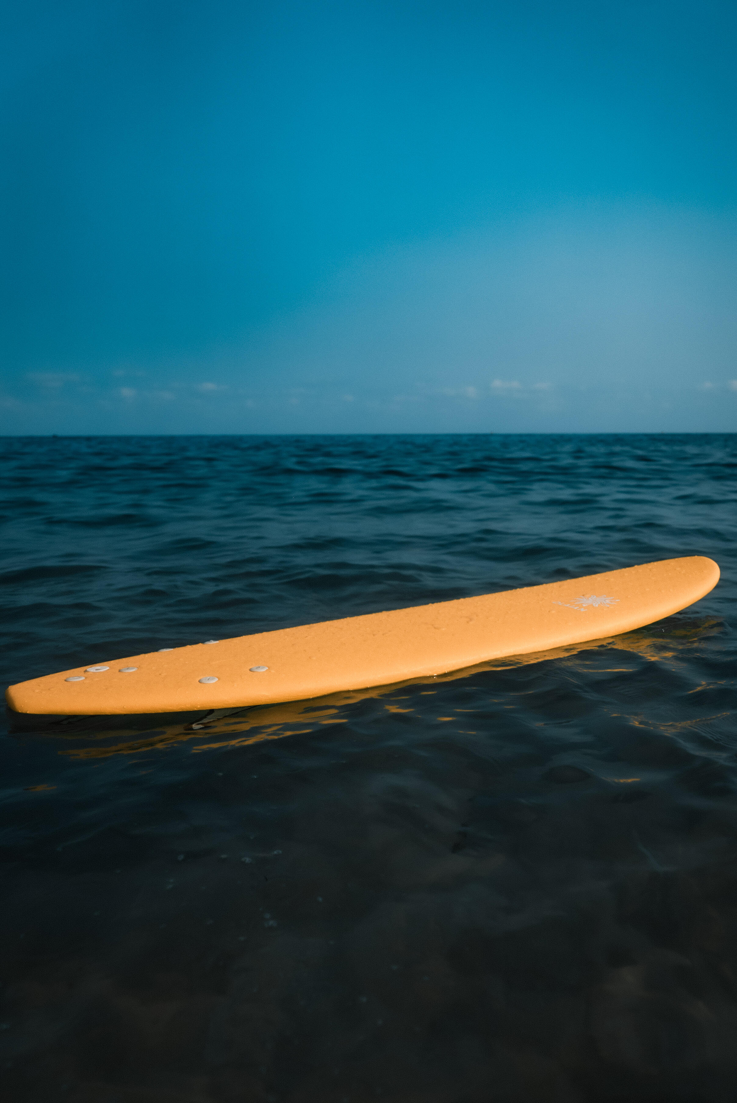Tavole da surf