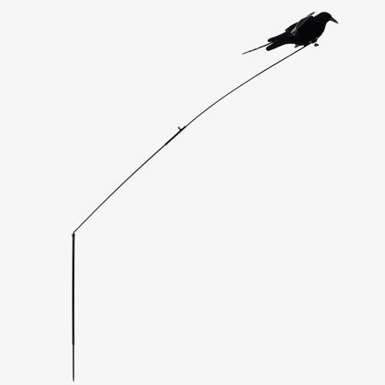 Appelant corbeau Stepflap avec ailes battantes et tige