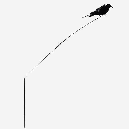 Appelant corbeau Stepflap avec ailes battantes et tige