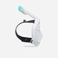 Adult Easybreath snorkelling surface mask - grey. no bag