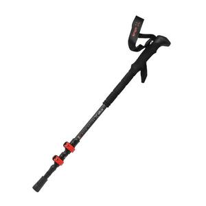 Par de bastones para trekking de carbono
