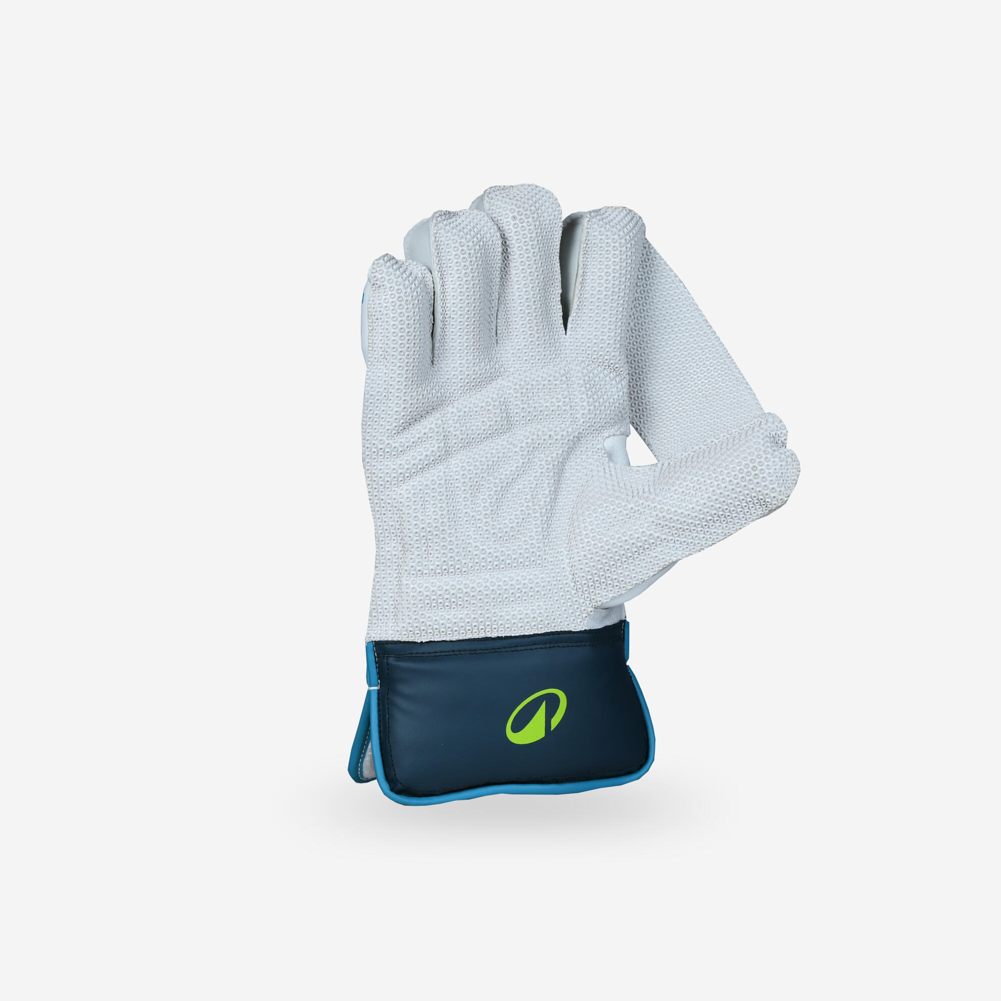 WICKET KEEPING GLOVE WKG 500 JR