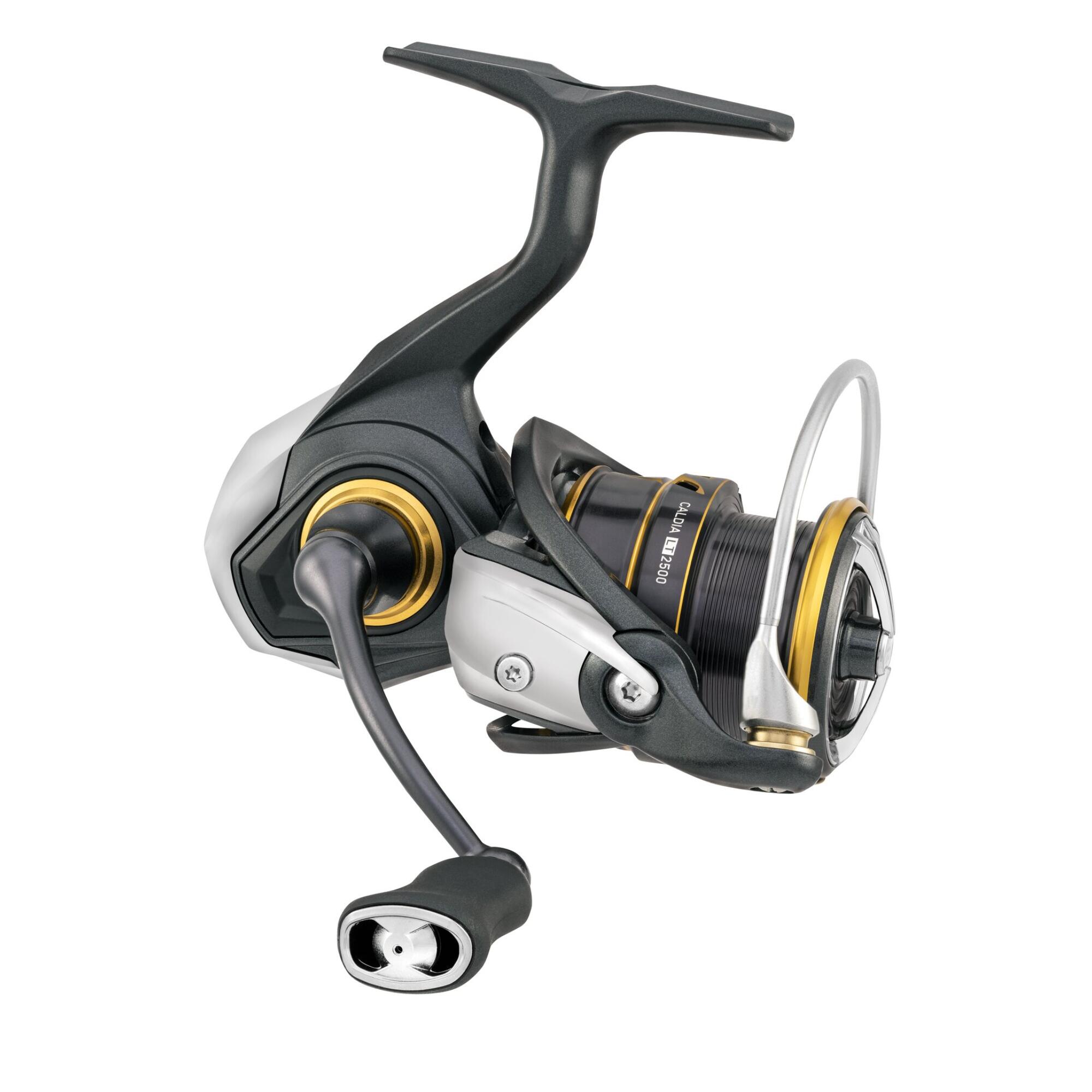 Mulinello spinning mare acqua dolce Daiwa Caldia 2500 LT 2021 2/6
