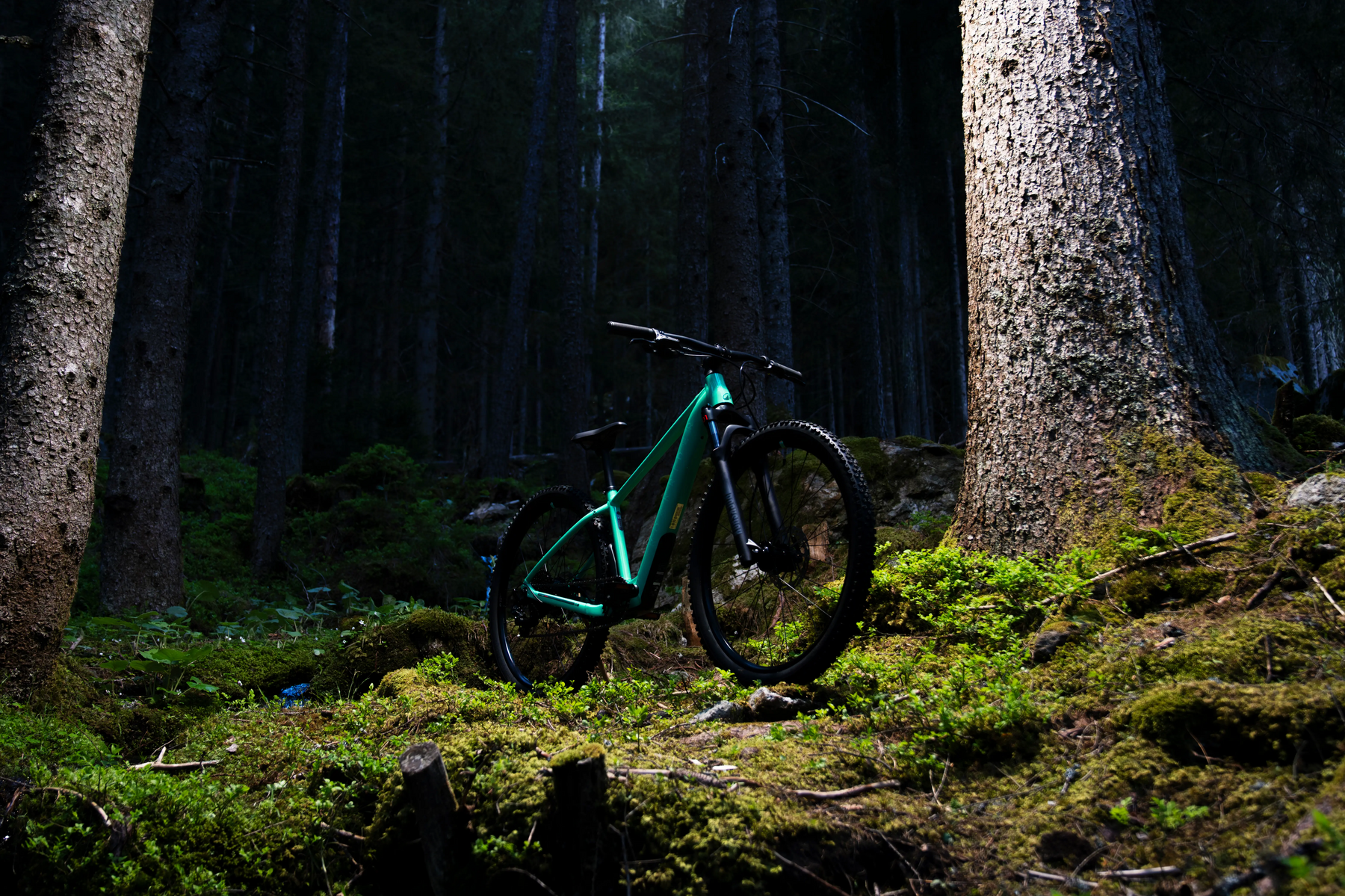 Türkises Gravelbike steht im Wald