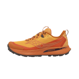 CHAUSSURES DE TRAIL RUNNING HOMME PEREGRINE 15