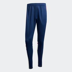 Pantalon d'entraînement adidas Squadra 25 Adulte Gris/Bleu Navy