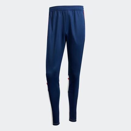 Pantalon d'entraînement adidas Squadra 25 Adulte Gris/Bleu Navy