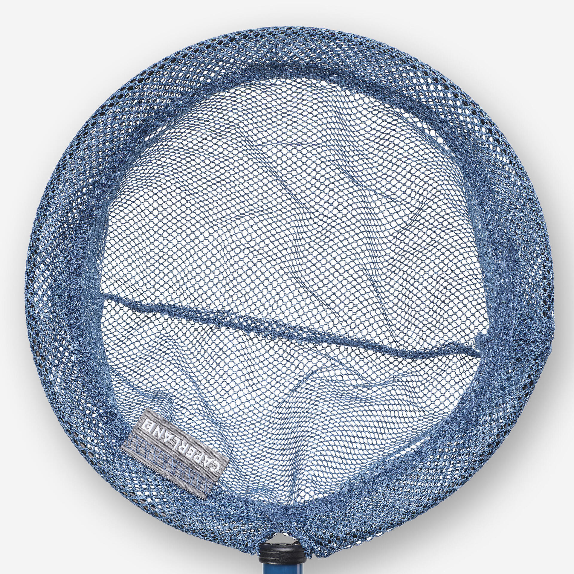 Landing net Ocean Blue Discover the underwater world