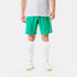 Adult Football Shorts Viralto Club - Green