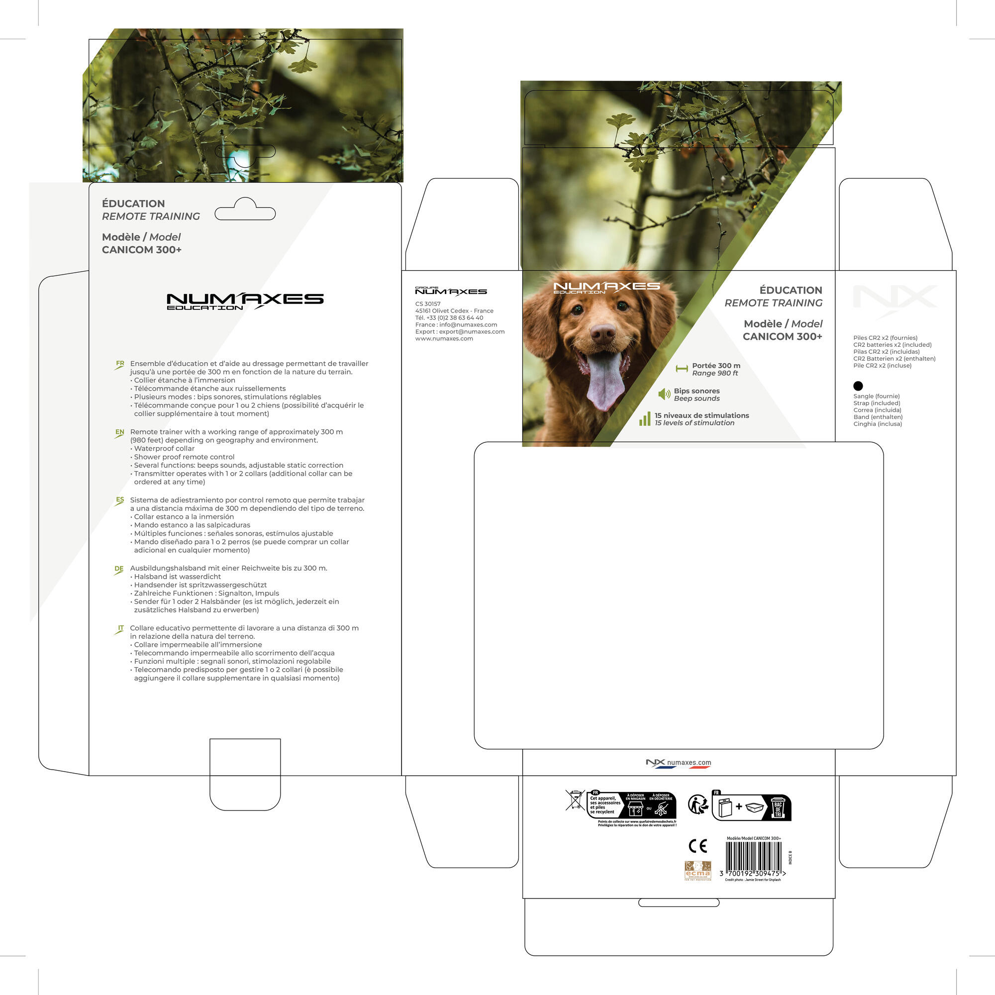 EBTOOLS équipement De Musculation Combinaison Et Démontage Gratuits Des
