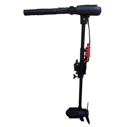 Silnik elektyczny Protruar 2.0S 12V