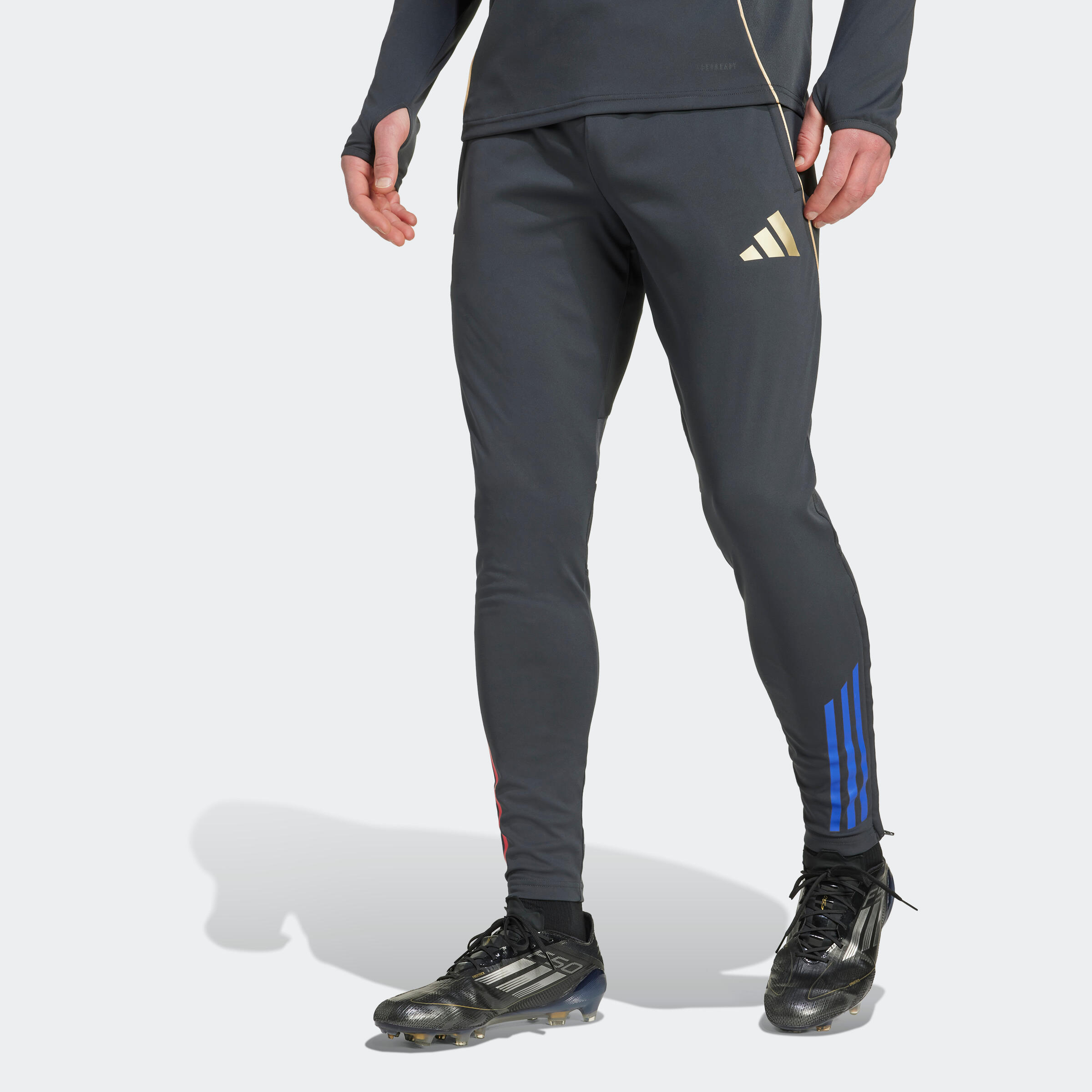Pantalon d'entraînement Olympique Lyonnais 25/26 Adulte 2/7