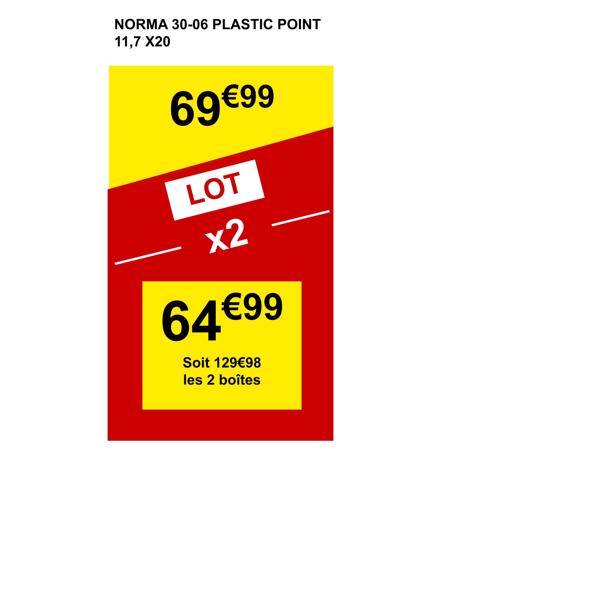 BALLE PLASTIC POINT NORMA  30-06 SPRG 180 GRAINS / 11,7 GRAMMES 2/4