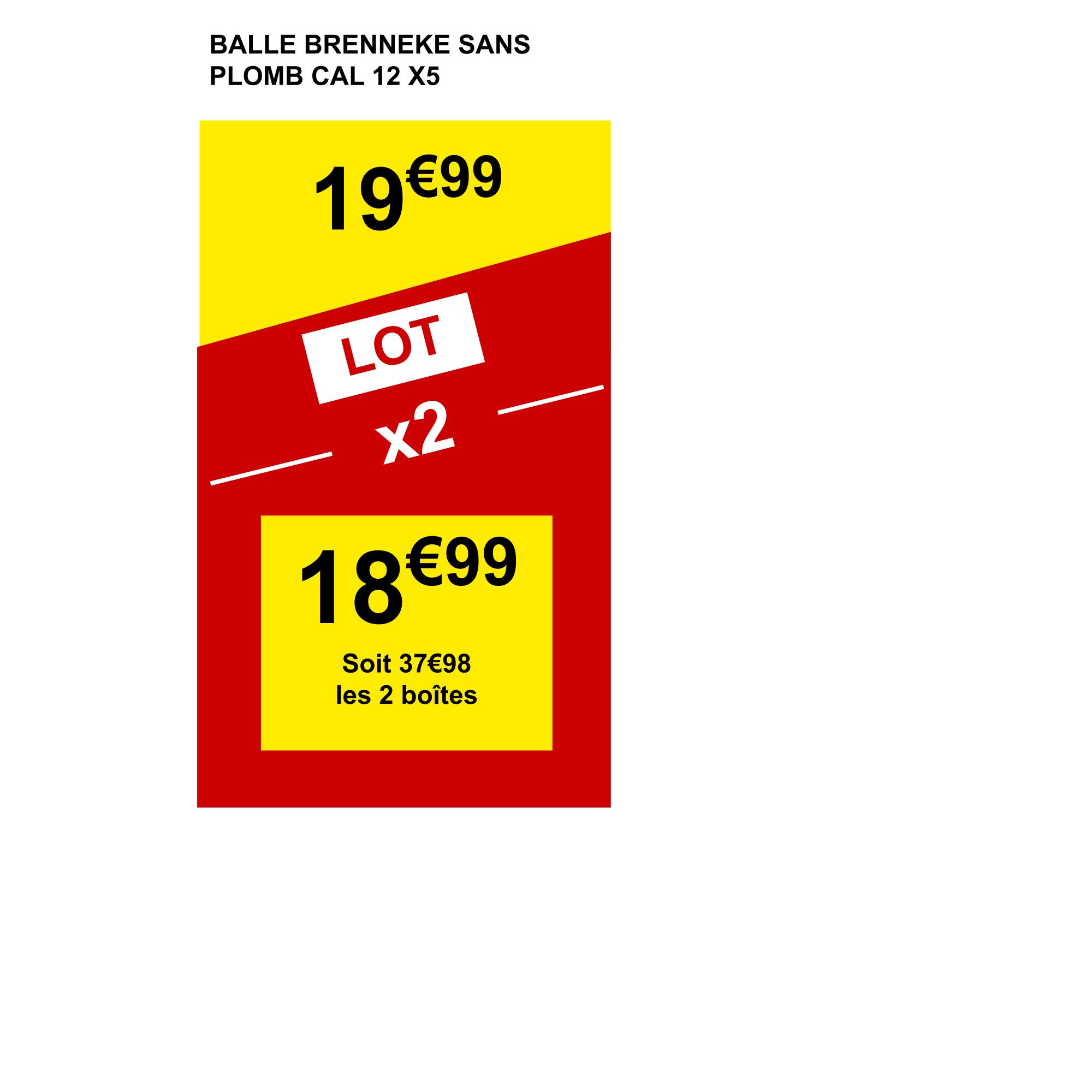 BALLE BRENNEKE SANS PLOMB 19 G CALIBRE 12/70 X 5 2/5