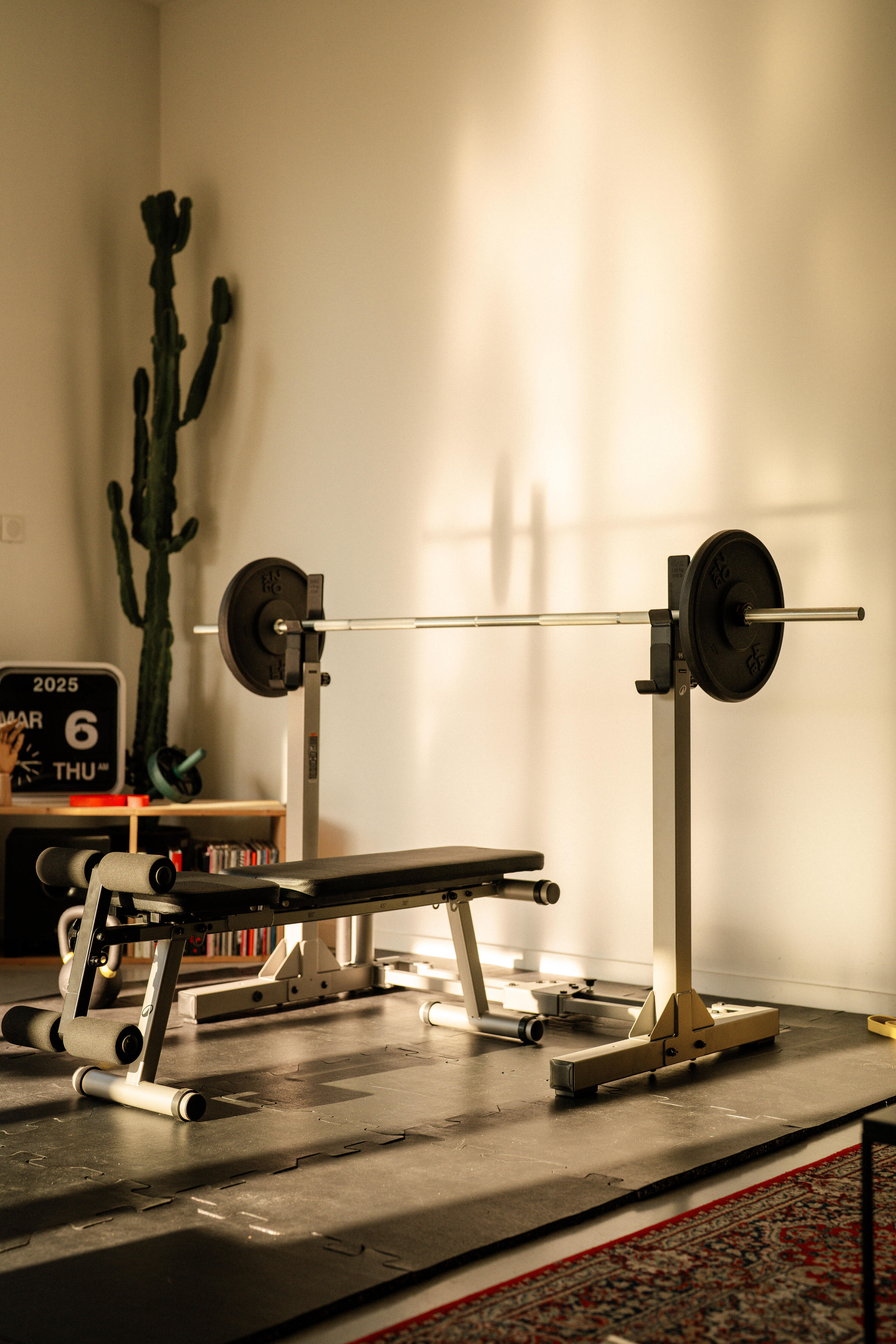 Banco Musculación Bench 500 Plegable Inclinable Declinable 15/23