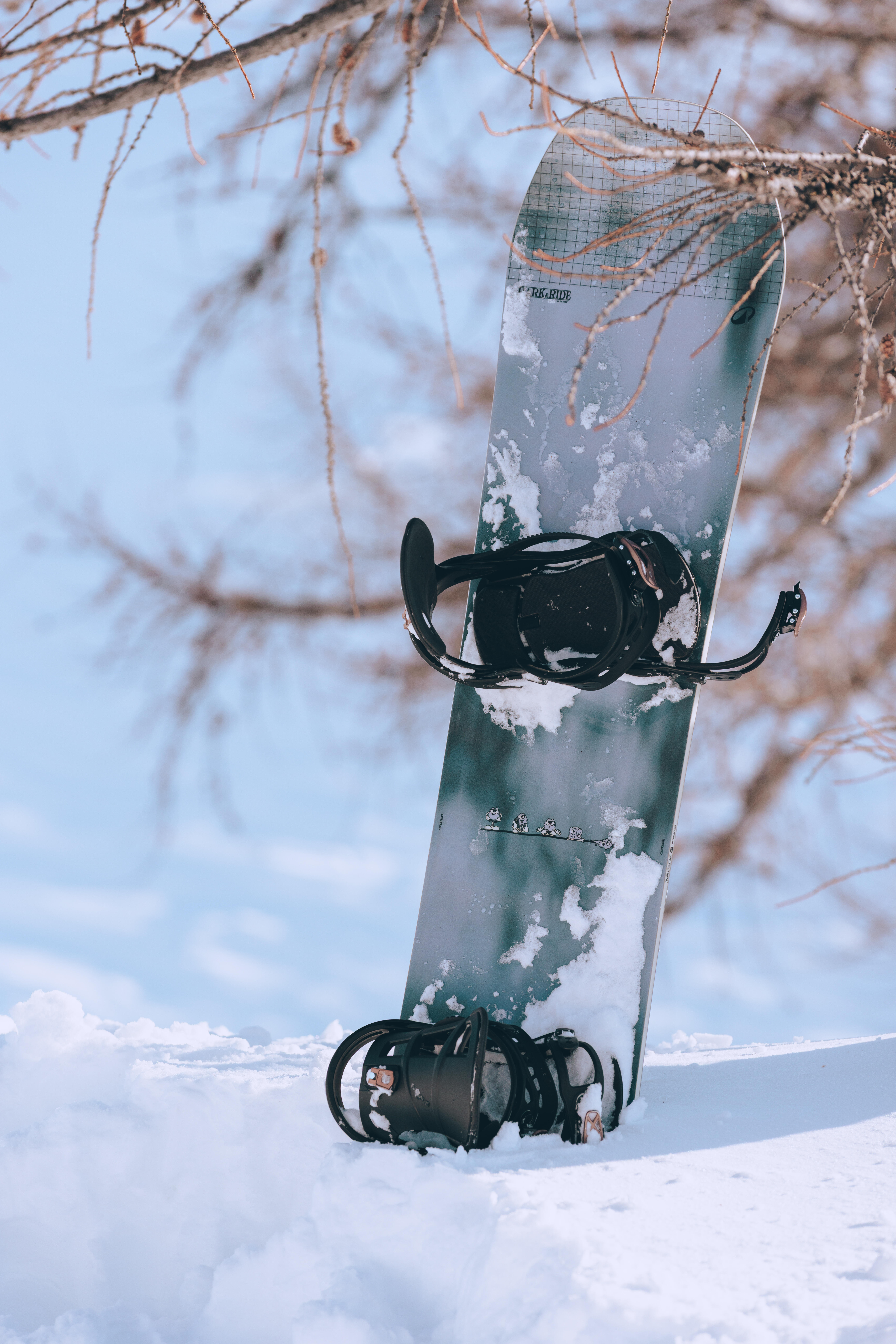 All-Mountain and Freestyle Snowboard, Park & Ride 500 - DREAMSCAPE