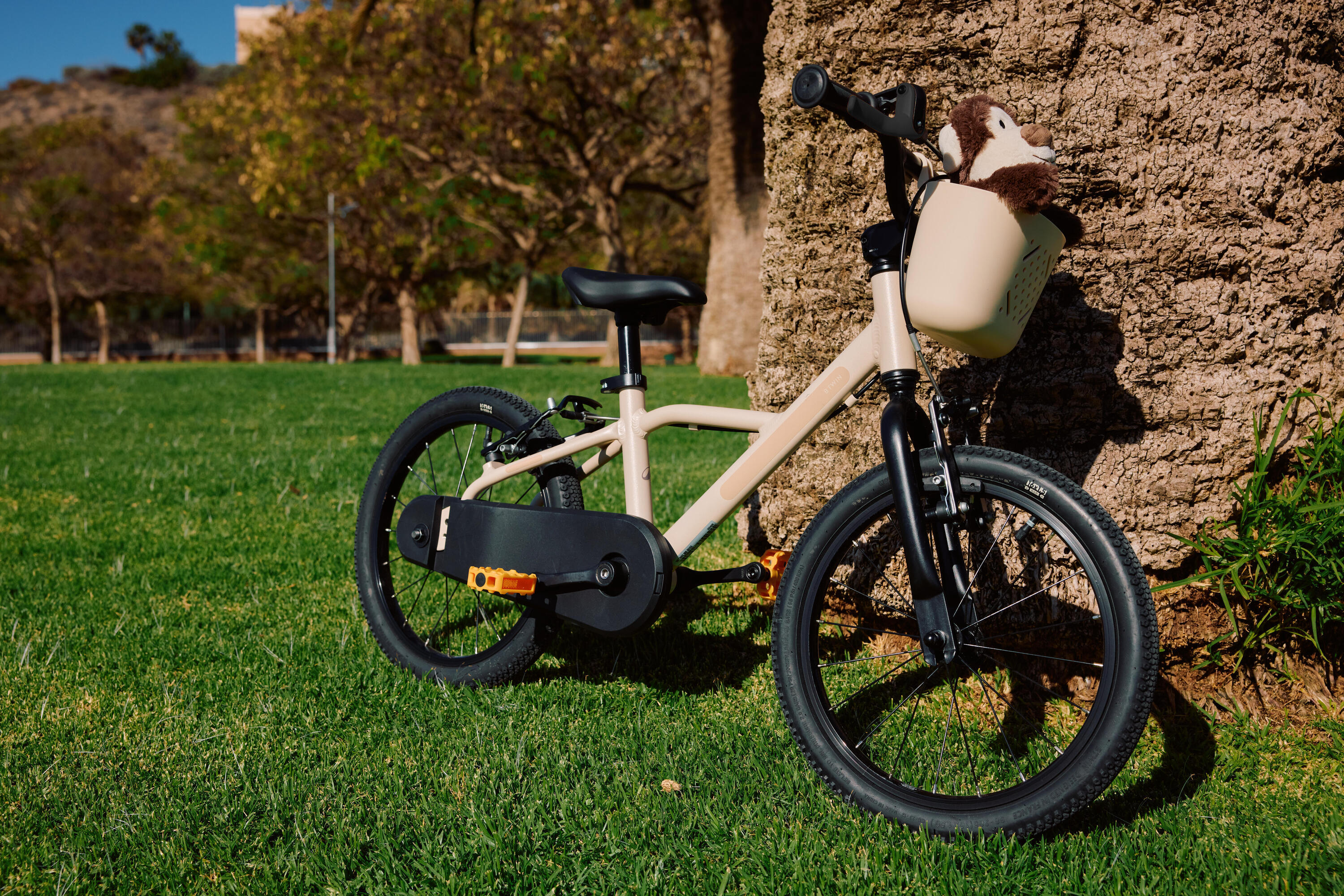 kids-bike-16-inch-bike-900-4-6