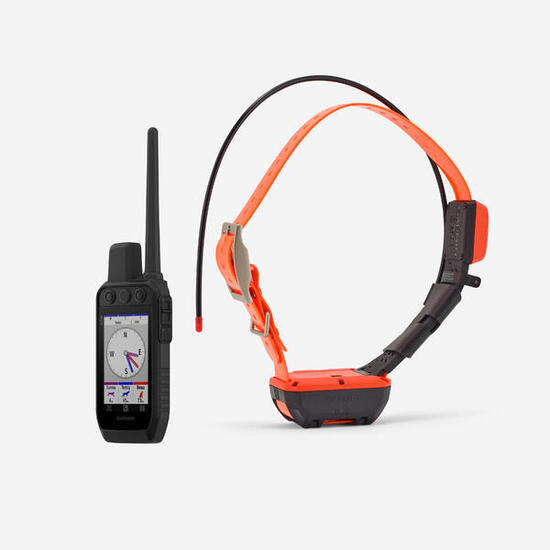 Pack collier + télécommande de repérage/dressage chien garmin alpha 300 t20