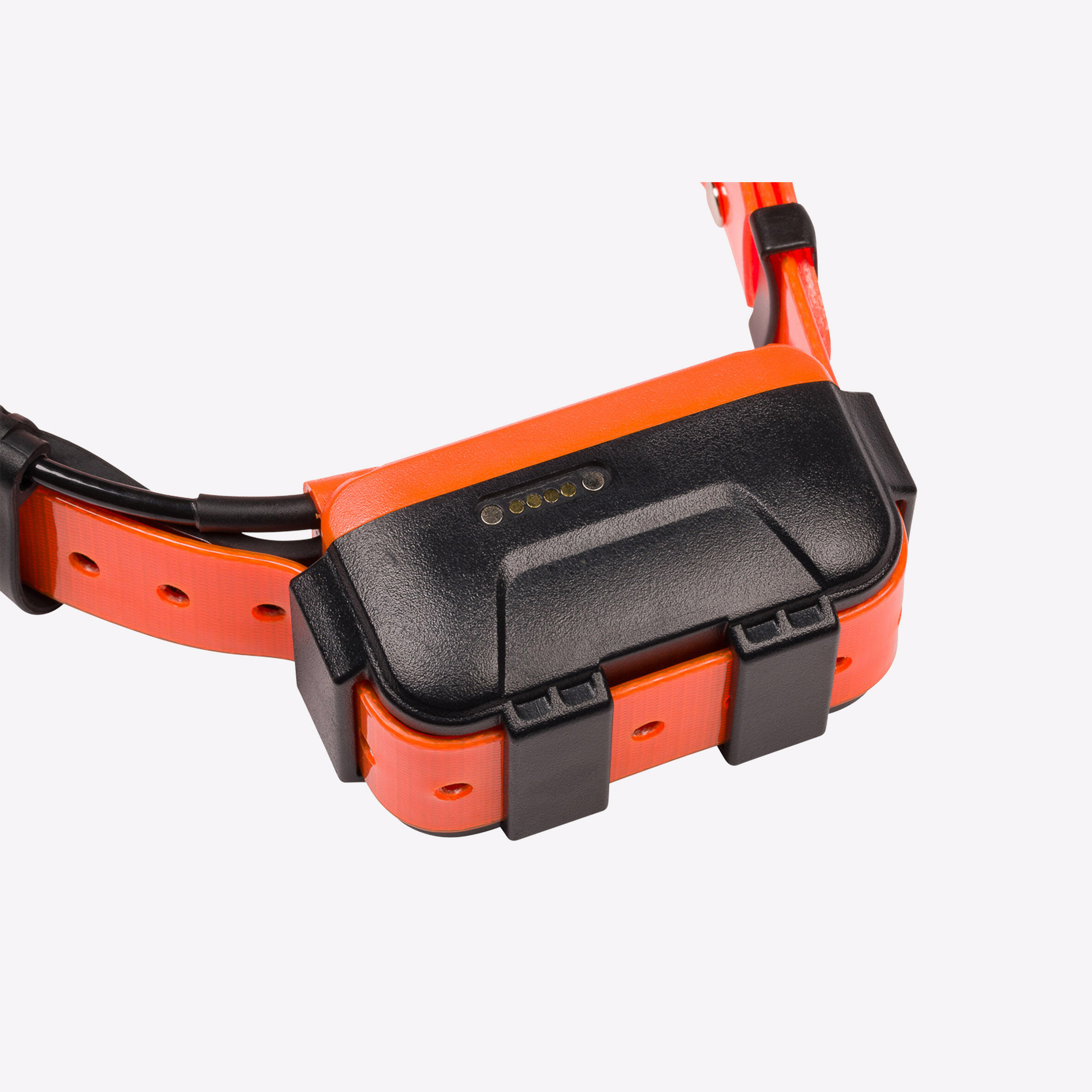 Collar Localización/Adiestramiento Perro Num'axes Canicom GPS2 20 Perros 15 Km 9/11