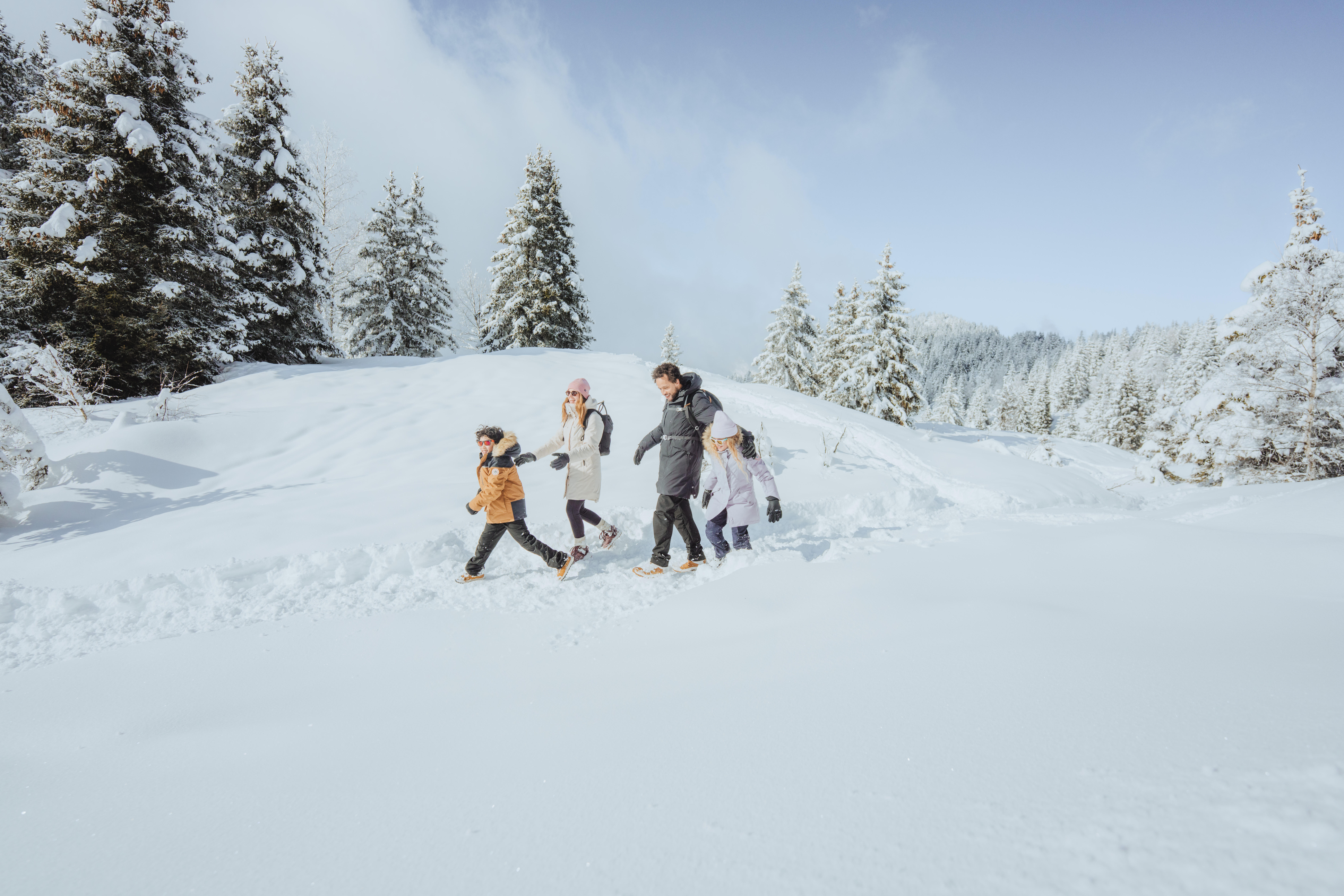 Men’s Warm Leather Hiking Boots, NH 500 Mid - QUECHUA