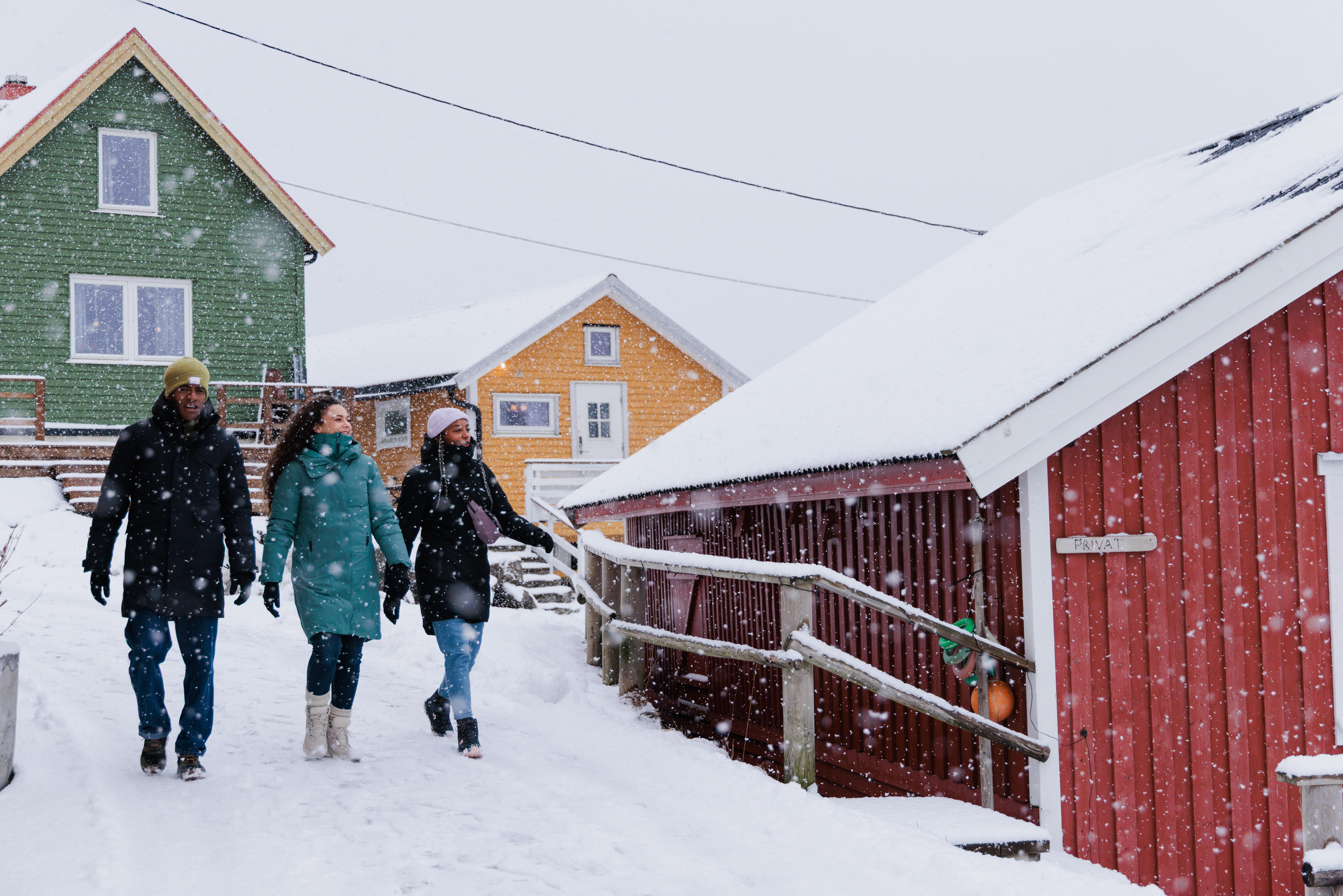 Chaussures de randonnée chaudes en cuir homme, NH 500 Mid - QUECHUA