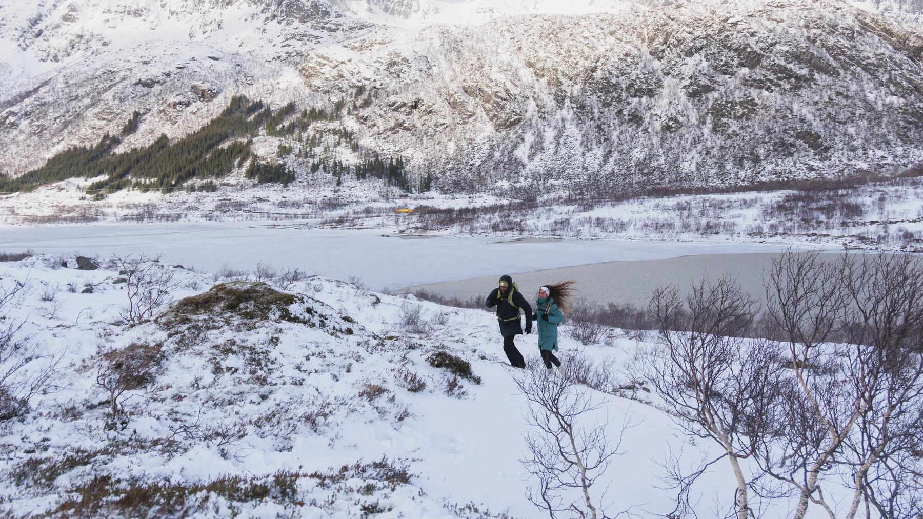 Bewaldeter Uferweg für entspannte Touren beim Wandern am Walchensee!