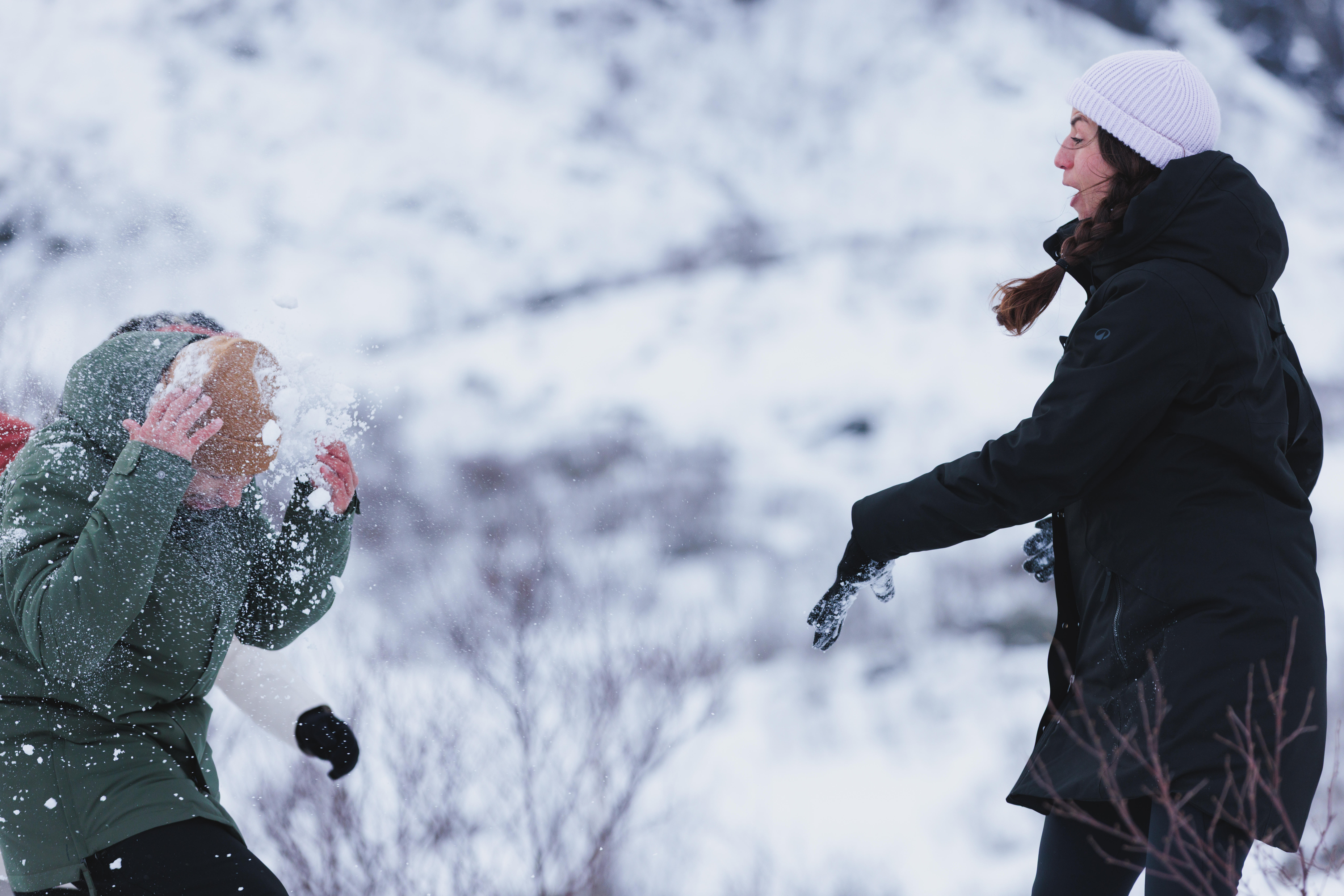 Men’s Waterproof Winter Parka, NH 500 - QUECHUA