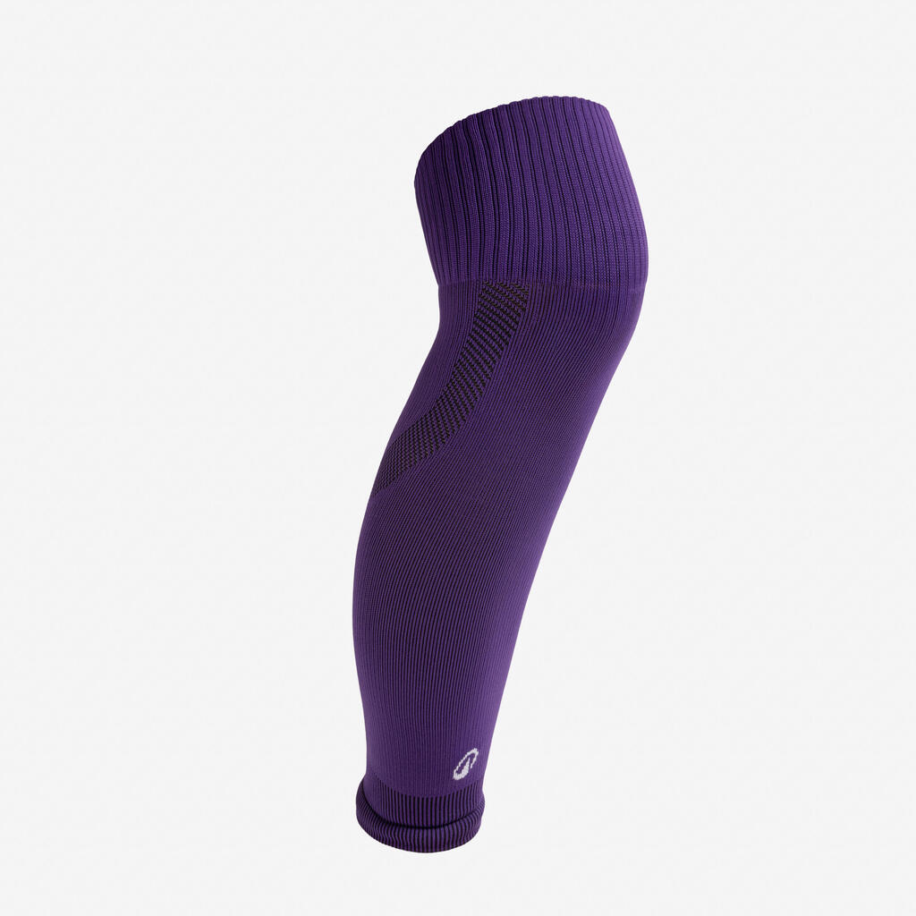 PURPURA