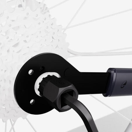 
Ланцюгова тріскачка