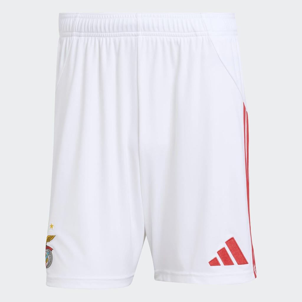 Nogometne kratke hlače za odrasle Benfica 25/26