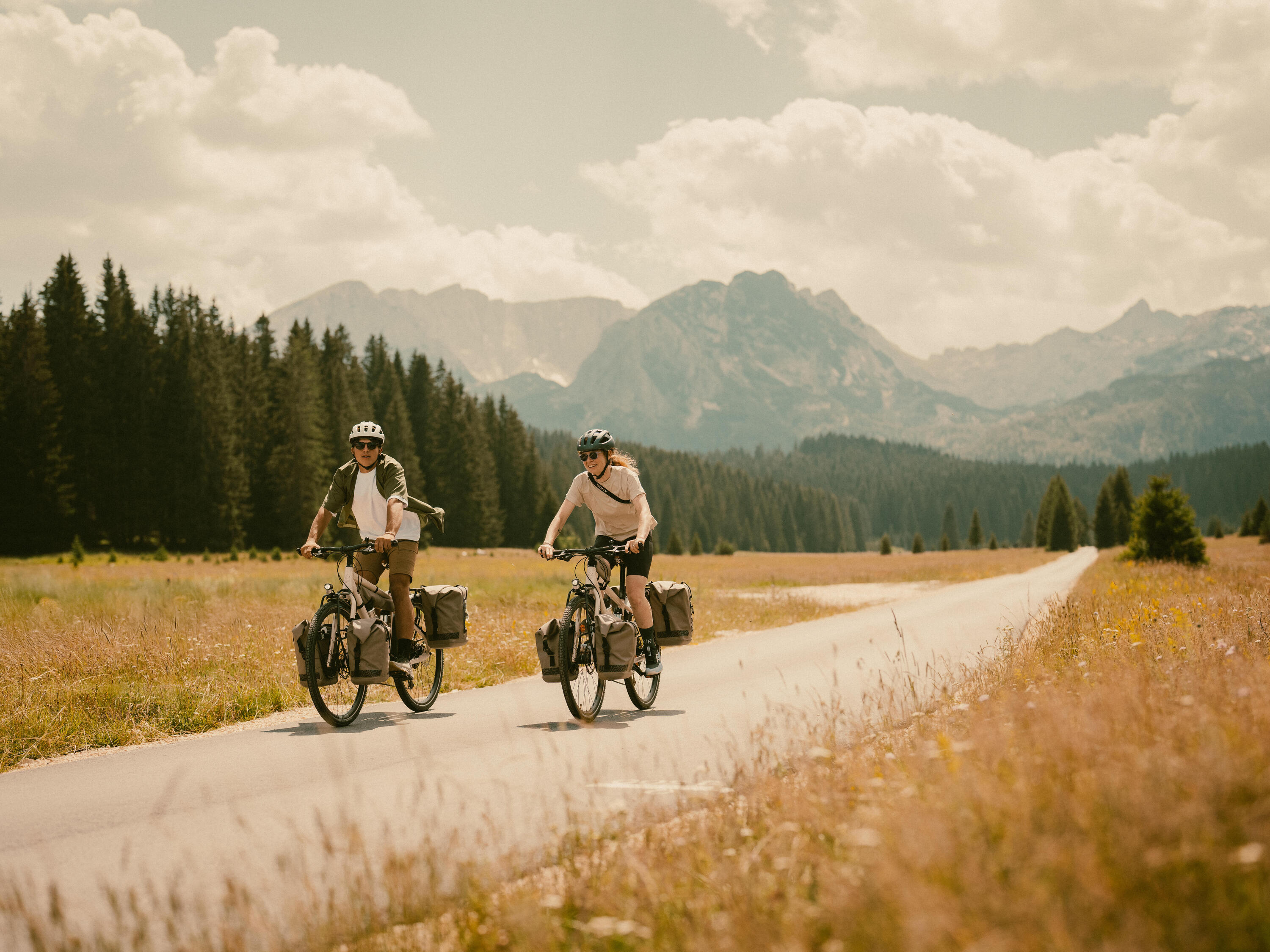 Vélo de voyage, ADVT 900 beige 12/14