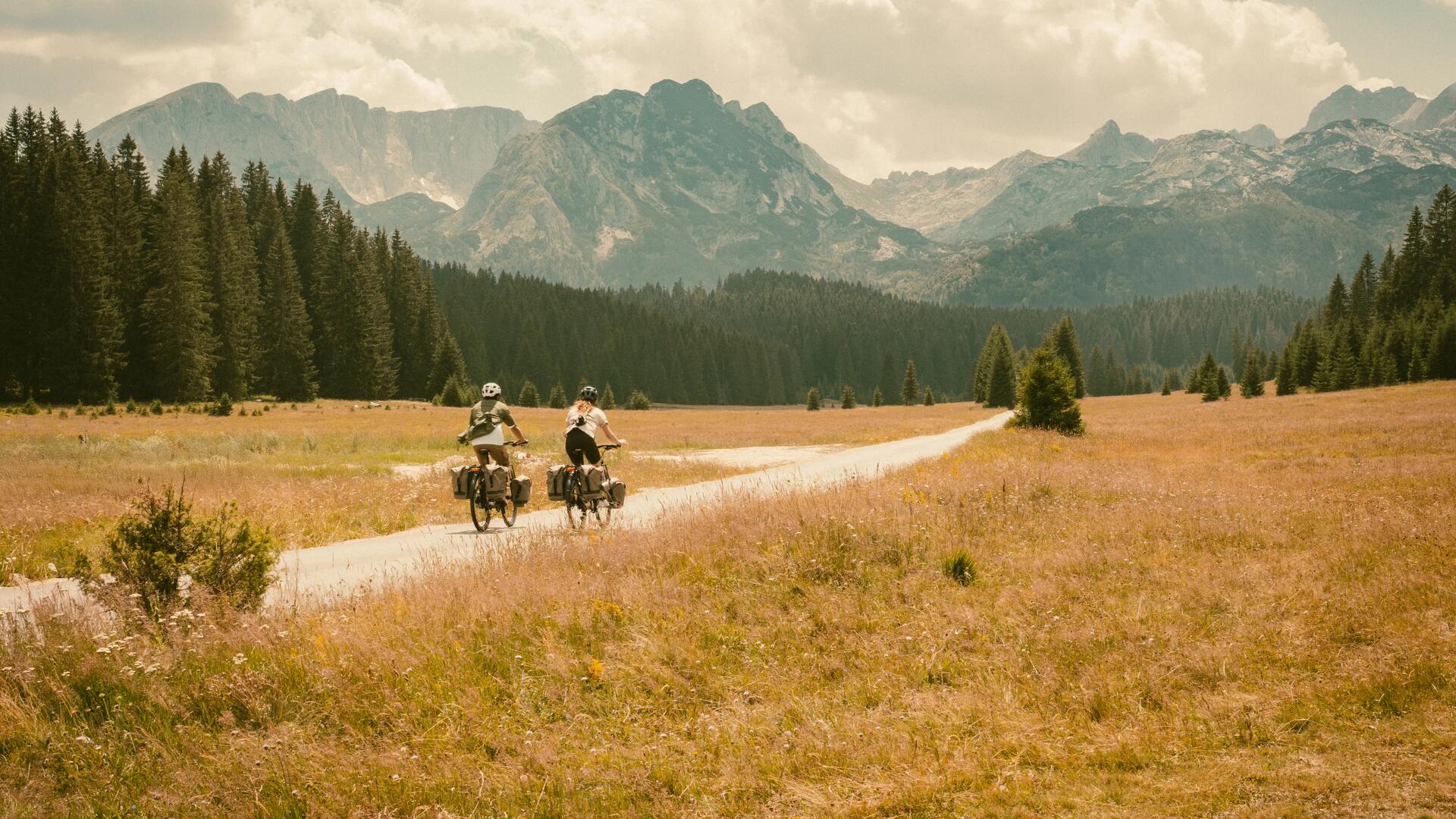 HARNAIS SACOCHE DE GUIDON BIKEPACKING / RIVERSIDE
