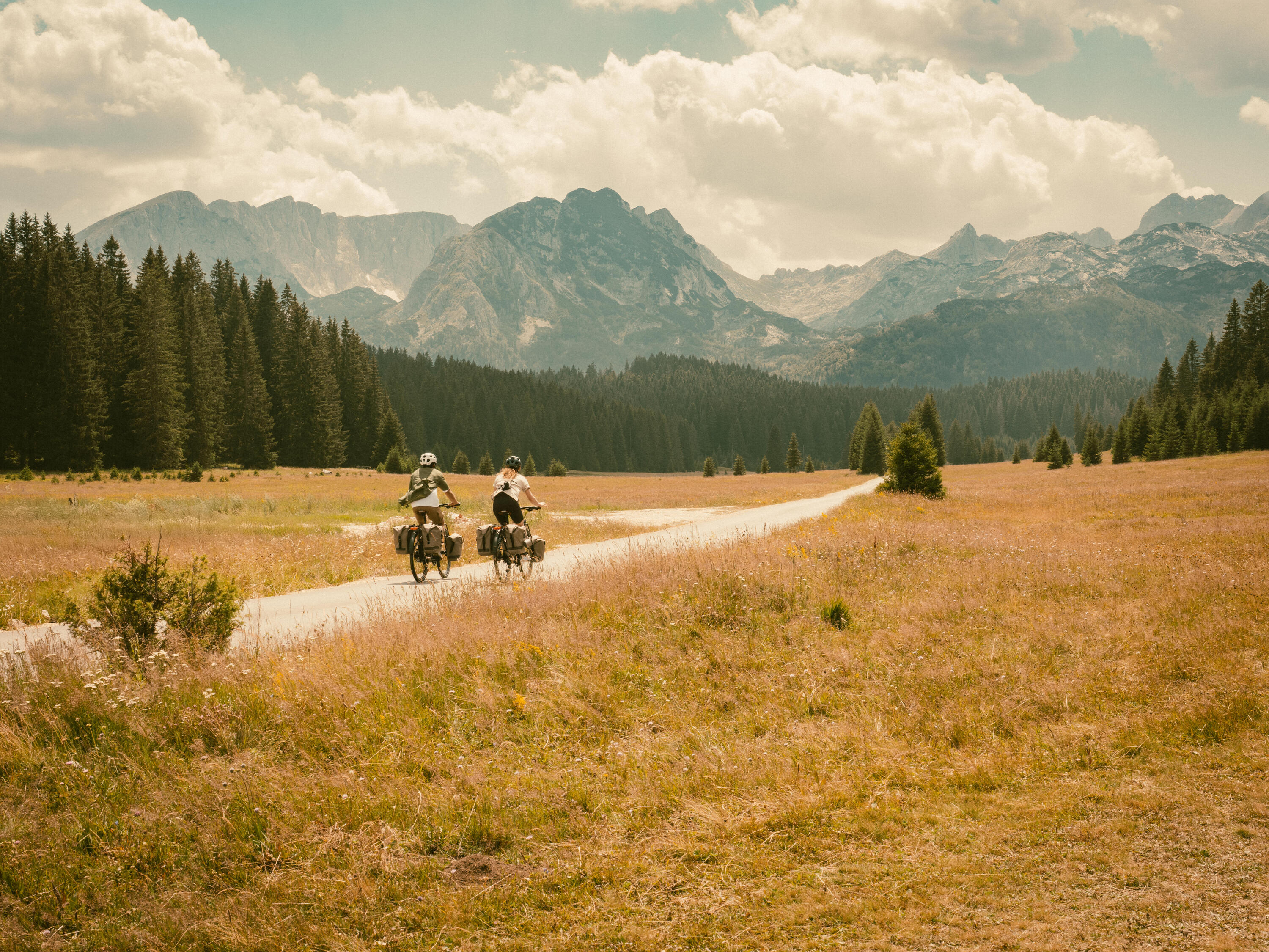 Vélo de voyage, ADVT 900 beige 14/14