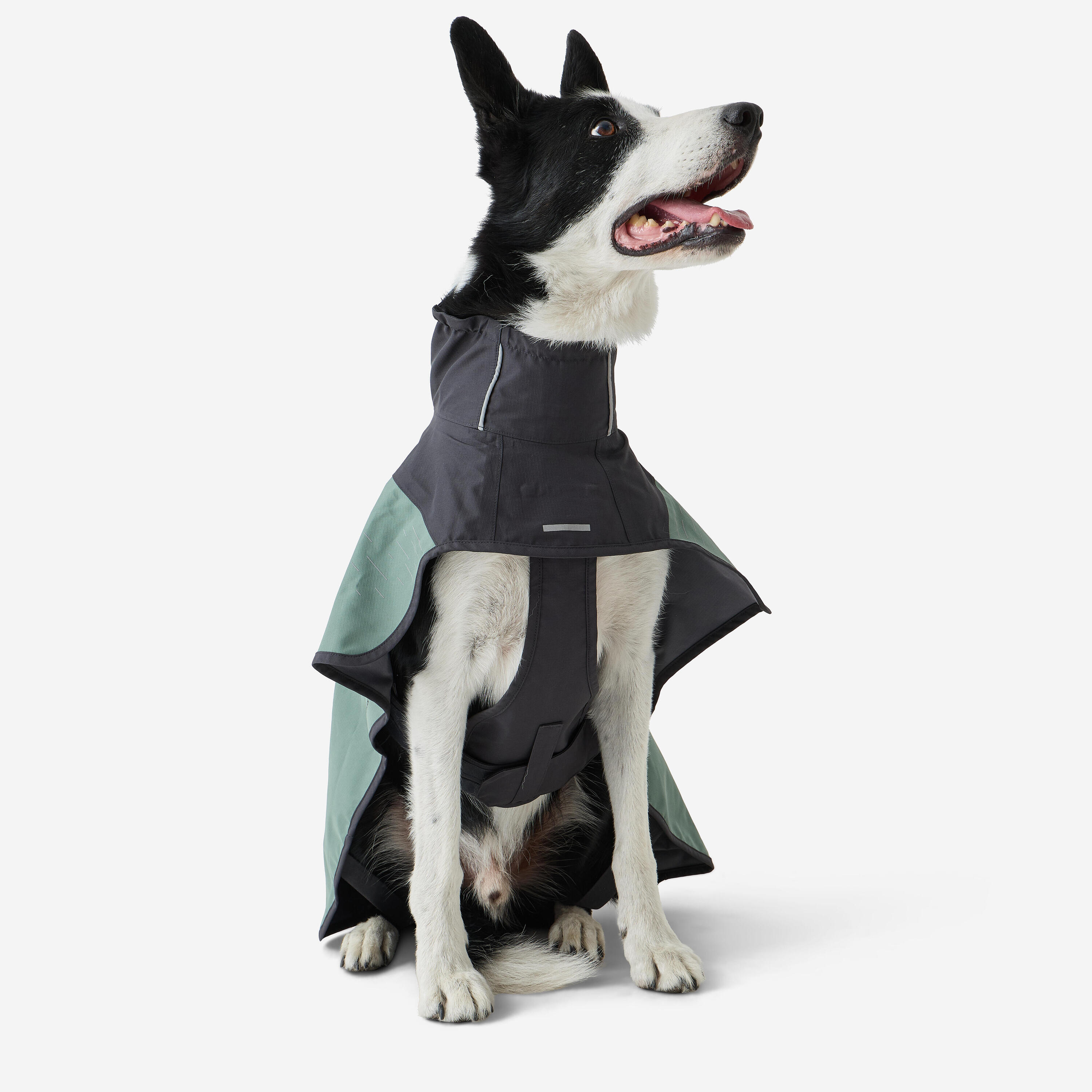 Abrigo Perro Verde Impermeable 7/8