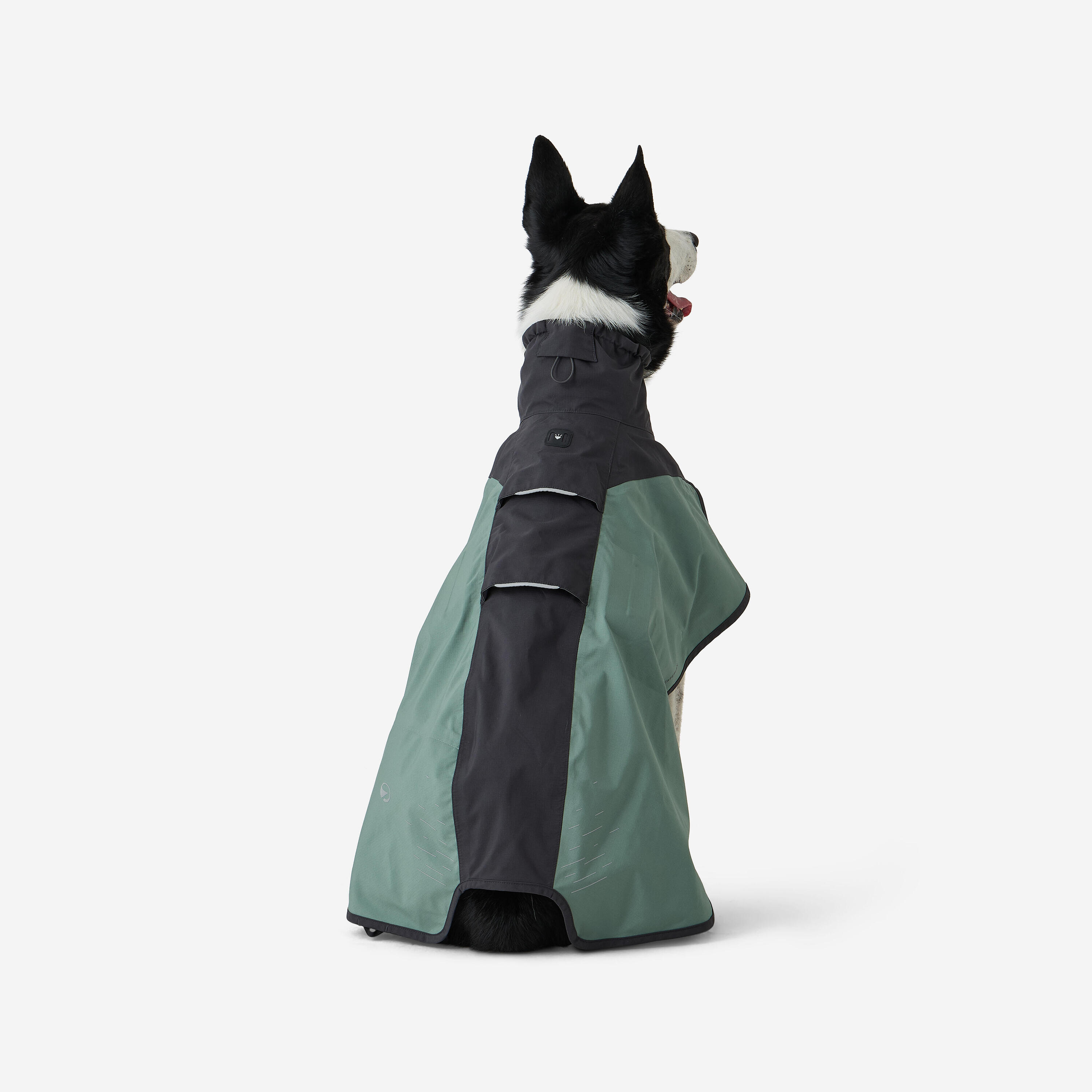 Abrigo Perro Verde Impermeable 3/8