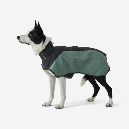 Hunde-Regenjacke grün